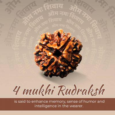 Four Faced (4 Mukhi) Lab Certified Rudraksha Bead Good for Pooja,Yoga, Meditation