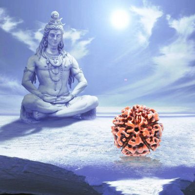 Five Faced (5 Mukhi) Rudraksha Bead Good for Pooja,Yoga, Meditation