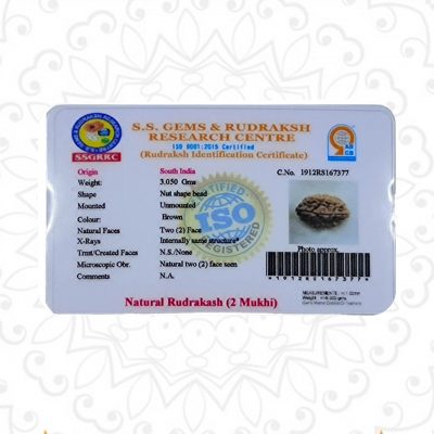 Lab Certified Two Faced (2 Mukhi) Rudraksha Good for Pooja,Yoga, Meditation