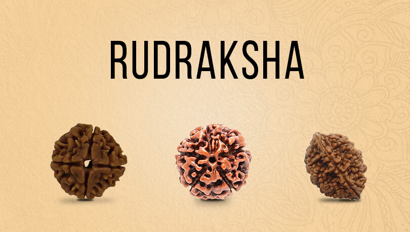 Rudraksha Banner